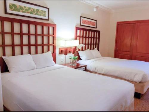 Comfort Studio Suite