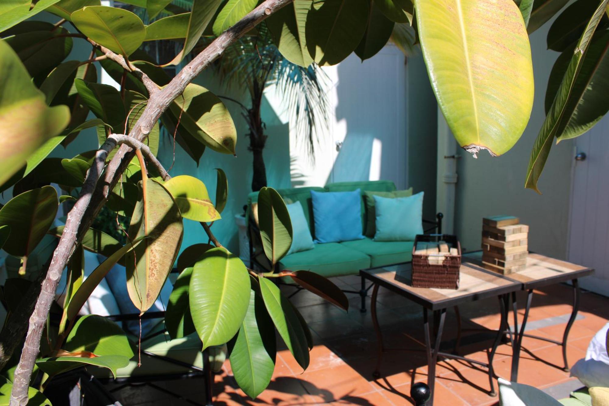 Superior One-Bedroom Apartment