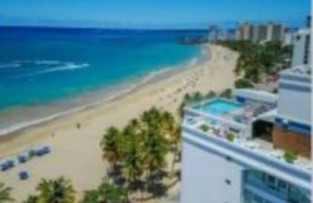 Starfish Luxury Apartment-1