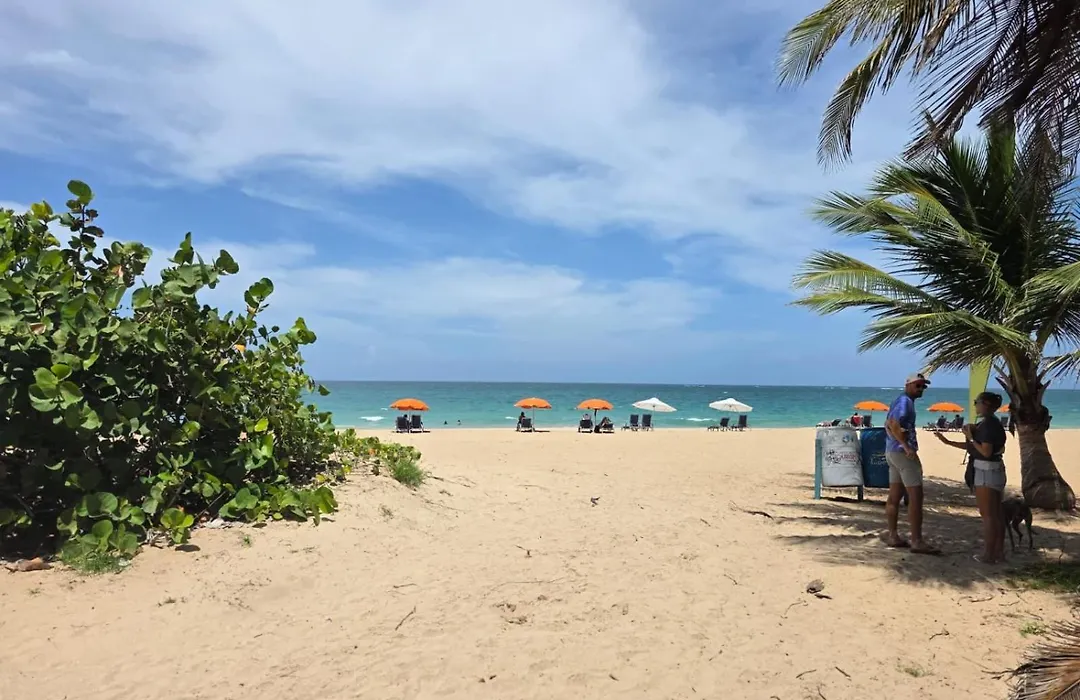 Stunning 3-Br Apt In Condado-1