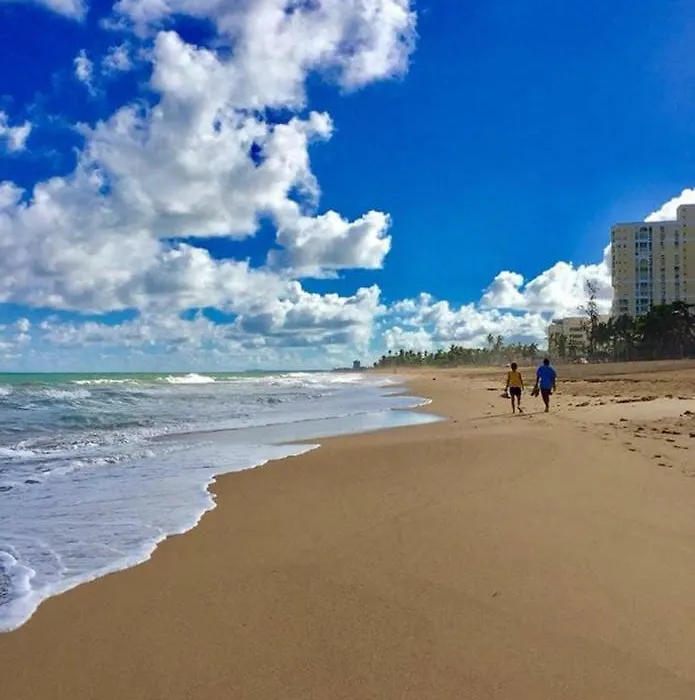 Tropical Beach #4-1