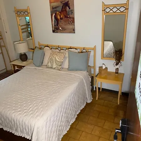 The Bambu Room At Casa Of Essence Located In Heart Of Old San Juan-3