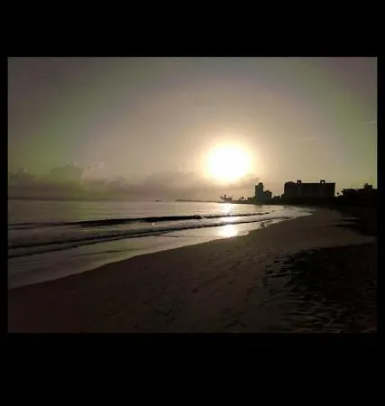 Ocean Pearl-2