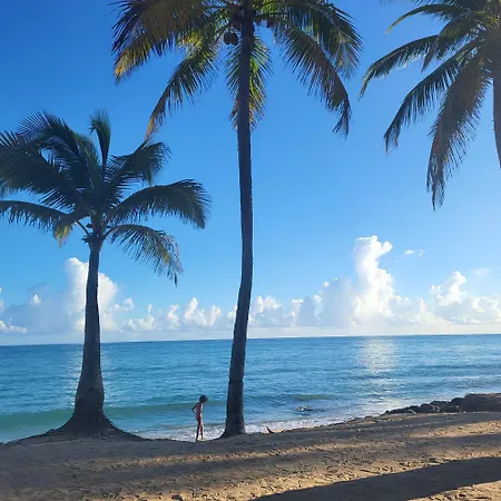 Cozybeach Large 1Bdrapt 50 Steps From Atlantic Ocean Private Street Between Ocean Park & Isla Verde 5 Mins From Airport-3