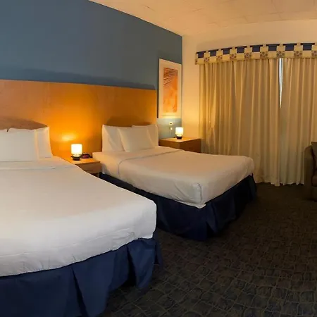 Ficus Hotel-2