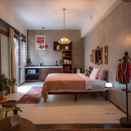 Casa Botanica-2