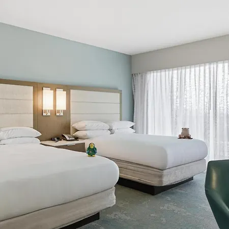 Caribe Hilton-3