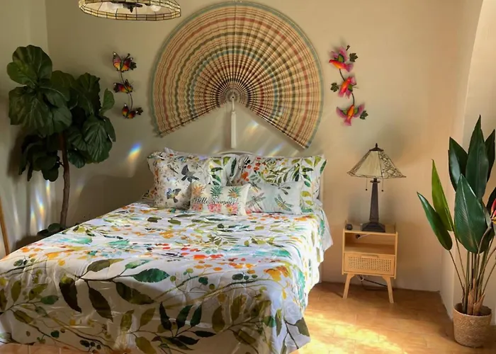The Garden Apartment, The Willow Apartment, & The Tropical Apartment At Casa Of Essence In Old San Juan