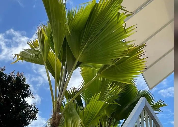 Mar Baltico Apartment San Juan