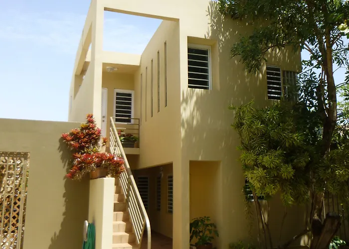 Serena Alta San Juan