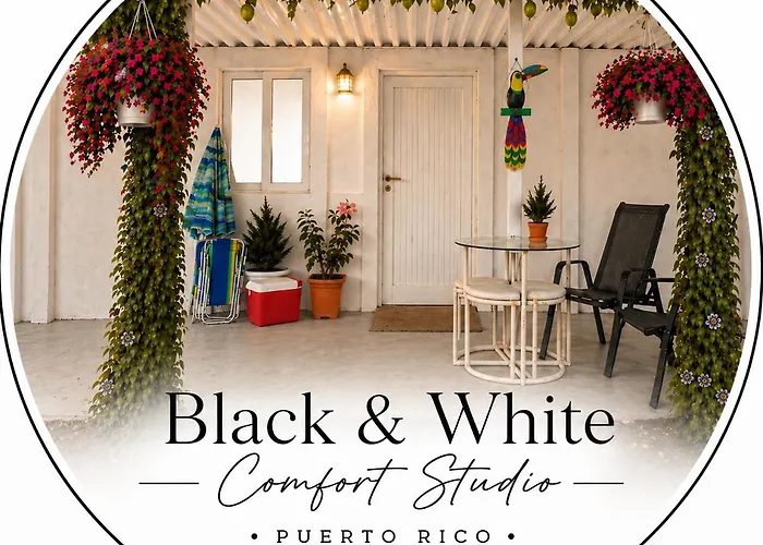 Black & White Comfort Studio San Juan
