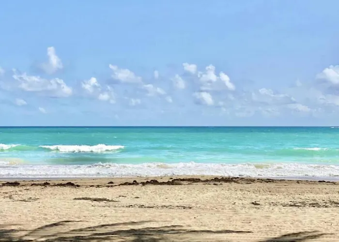 Beachfront Condo Pool Beach Access B15 San Juan